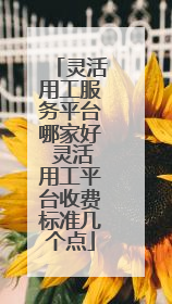灵活用工服务平台哪家好 灵活用工平台收费标准几个点