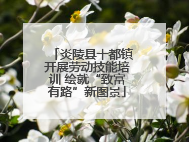 炎陵县十都镇开展劳动技能培训 绘就“致富有路”新图景