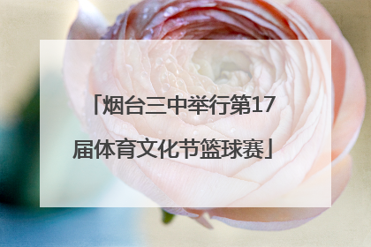 烟台三中举行第17届体育文化节篮球赛
