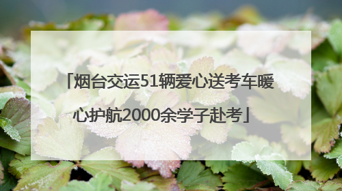 烟台交运51辆爱心送考车暖心护航2000余学子赴考