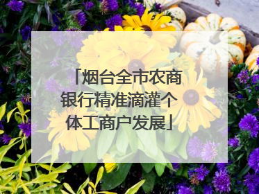 烟台全市农商银行精准滴灌个体工商户发展