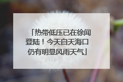 热带低压已在徐闻登陆！今天白天海口仍有明显风雨天气