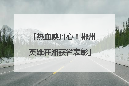 热血映丹心！郴州英雄在湘获省表彰