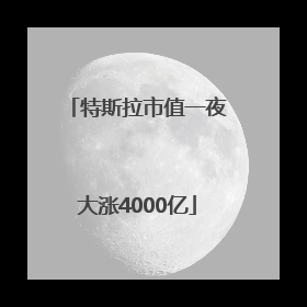 特斯拉市值一夜大涨4000亿