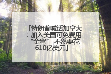 特朗普喊话加拿大：加入美国可免费用“金穹” 不然要花610亿美元