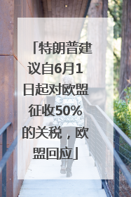 特朗普建议自6月1日起对欧盟征收50%的关税，欧盟回应