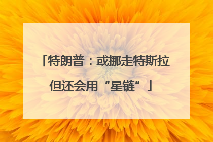 特朗普：或挪走特斯拉 但还会用“星链”