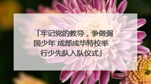 牢记党的教导，争做强国少年 成都成华特校举行少先队入队仪式