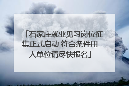 石家庄就业见习岗位征集正式启动 符合条件用人单位请尽快报名