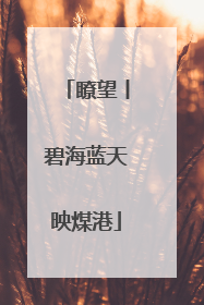 瞭望丨碧海蓝天映煤港
