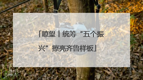 瞭望丨统筹“五个振兴”擦亮齐鲁样板
