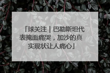 球关注｜巴勒斯坦代表掩面痛哭，加沙的真实现状让人痛心