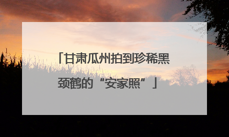 甘肃瓜州拍到珍稀黑颈鹤的“安家照”