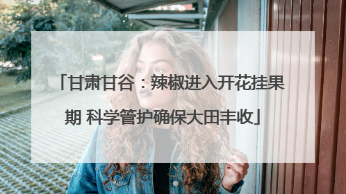 甘肃甘谷：辣椒进入开花挂果期 科学管护确保大田丰收