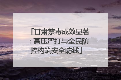甘肃禁毒成效显著：高压严打与全民防控构筑安全防线