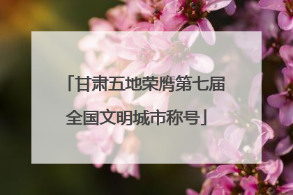 甘肃五地荣膺第七届全国文明城市称号