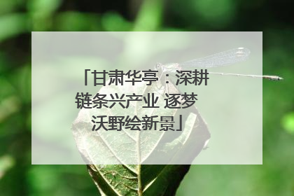 甘肃华亭：深耕链条兴产业 逐梦沃野绘新景