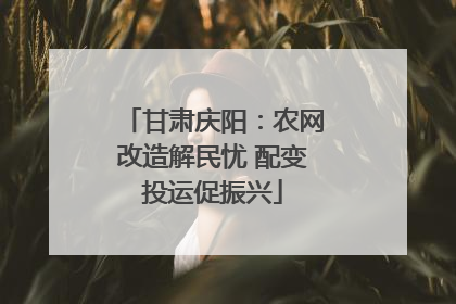 甘肃庆阳：农网改造解民忧 配变投运促振兴