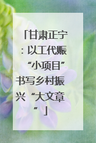 甘肃正宁：以工代赈“小项目”书写乡村振兴“大文章”