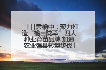 甘肃榆中：聚力打造“榆苗陇萃”四大种业育苗品牌 加速农业强县转型步伐