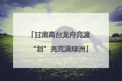 甘肃高台龙舟竞渡“划”亮荒漠绿洲