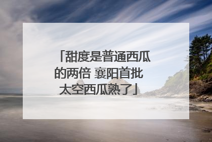 甜度是普通西瓜的两倍 襄阳首批太空西瓜熟了