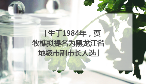 生于1984年，贾牧樵拟提名为黑龙江省地级市副市长人选