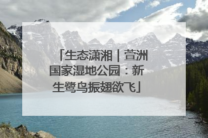 生态潇湘｜萱洲国家湿地公园：新生鹭鸟振翅欲飞