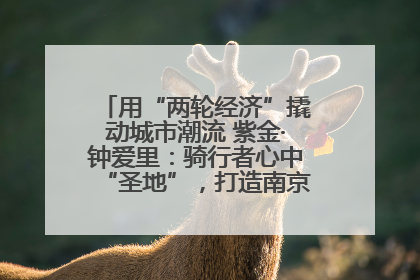 用“两轮经济”撬动城市潮流 紫金·钟爱里：骑行者心中“圣地”，打造南京的“阿那亚”