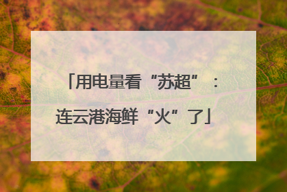 用电量看“苏超”：连云港海鲜“火”了