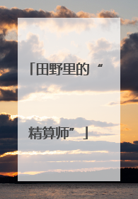 田野里的“精算师”