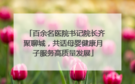 百余名医院书记院长齐聚聊城，共话母婴健康月子服务高质量发展