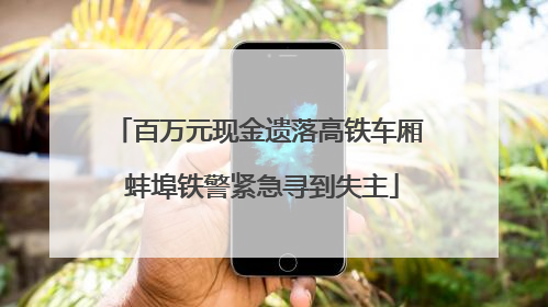 百万元现金遗落高铁车厢 蚌埠铁警紧急寻到失主