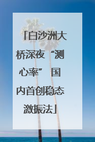 白沙洲大桥深夜“测心率” 国内首创稳态激振法