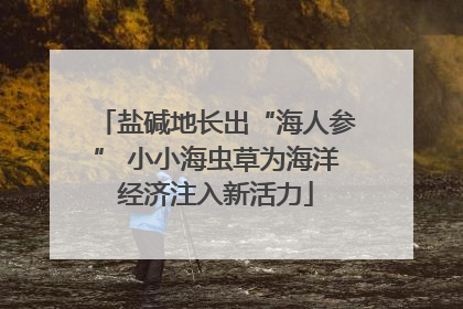 盐碱地长出“海人参” 小小海虫草为海洋经济注入新活力
