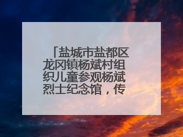 盐城市盐都区龙冈镇杨斌村组织儿童参观杨斌烈士纪念馆，传承红色基因