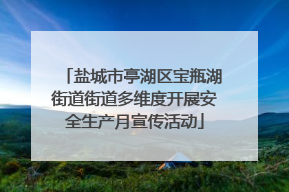 盐城市亭湖区宝瓶湖街道街道多维度开展安全生产月宣传活动