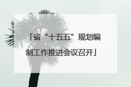 省“十五五”规划编制工作推进会议召开