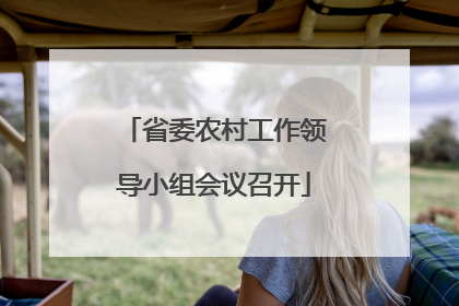 省委农村工作领导小组会议召开