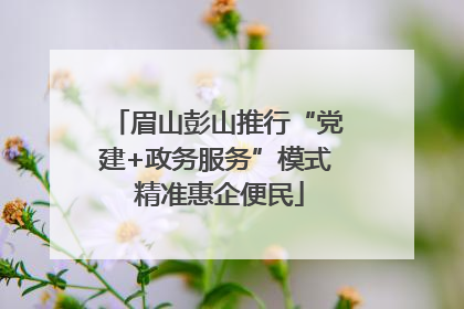 眉山彭山推行“党建+政务服务”模式 精准惠企便民