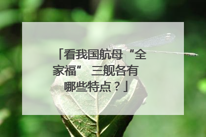 看我国航母“全家福” 三舰各有哪些特点？