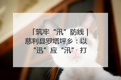 筑牢“汛”防线｜慈利县罗塔坪乡：以“迅”应“汛” 打赢暴雨防御战