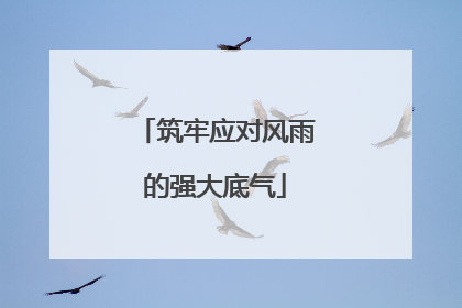 筑牢应对风雨的强大底气