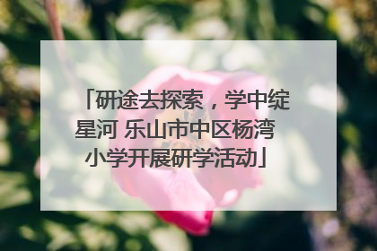 研途去探索，学中绽星河 乐山市中区杨湾小学开展研学活动