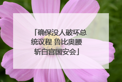 确保没人破坏总统议程 鲁比奥腰斩白宫国安会