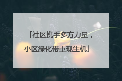 社区携手多方力量，小区绿化带重现生机