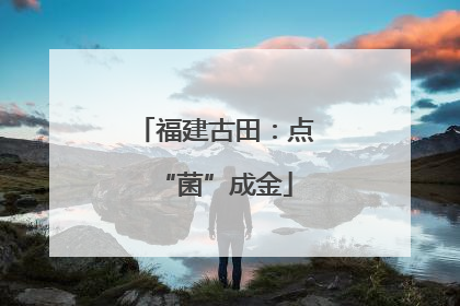 福建古田：点“菌”成金