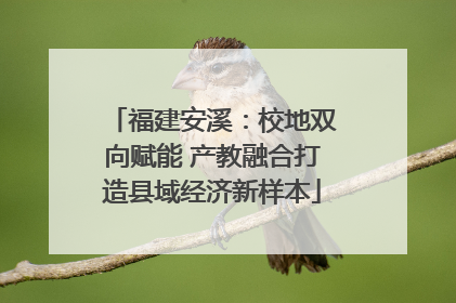 福建安溪：校地双向赋能 产教融合打造县域经济新样本