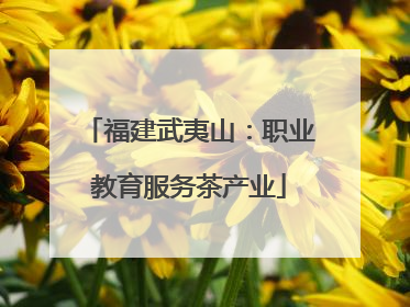 福建武夷山：职业教育服务茶产业