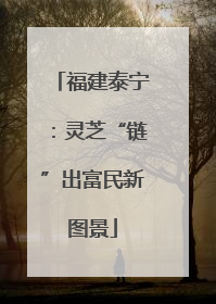 福建泰宁：灵芝“链”出富民新图景